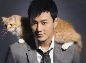 林峰近期爆料新闻报道视频,揭秘幕后真相,带你走进娱乐圈风云 第1张 林峰近期爆料新闻报道视频,揭秘幕后真相,带你走进娱乐圈风云 第1张