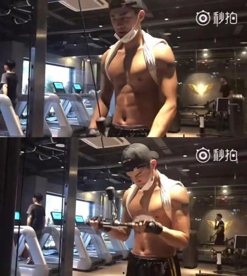 健身最新爆料视频大全集,视频大全集深度解析  第2张